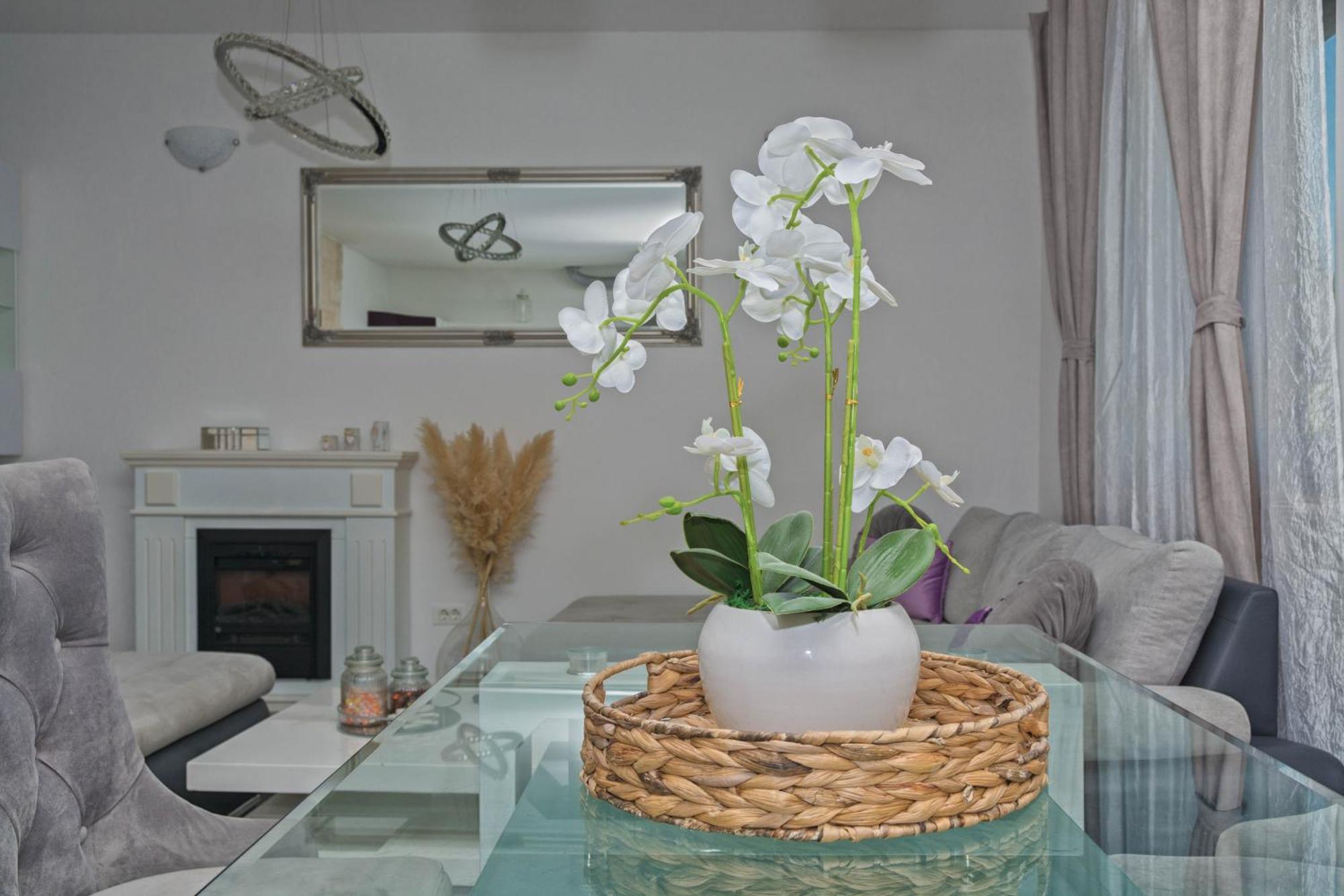 Apartment Anachi Split Kültér fotó